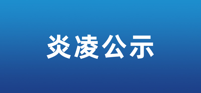 炎凌公示-2024年度社會責任報告